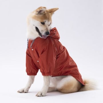 PawStar Kiremit Turuncu Pluvia Büyük Irk Yağmurluk