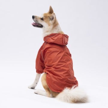 PawStar Kiremit Turuncu Pluvia Büyük Irk Yağmurluk