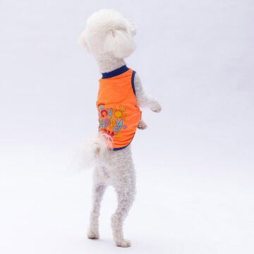 PawStar Neon Turuncu  Happy Day T-Shirt Küçük Irk