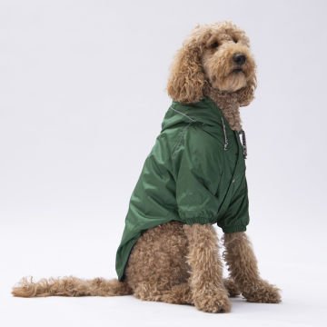 PawStar Yeşil Pluvia Büyük Irk Yağmurluk