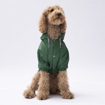 PawStar Yeşil Pluvia Büyük Irk Yağmurluk