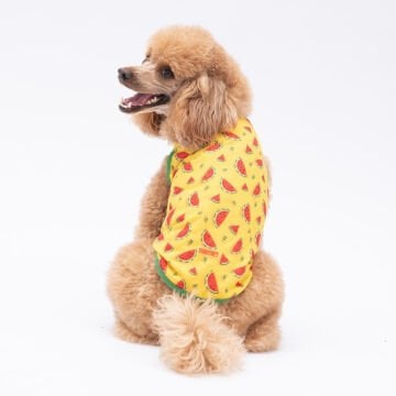 PawStar Watermelon T-Shirt Küçük Irk