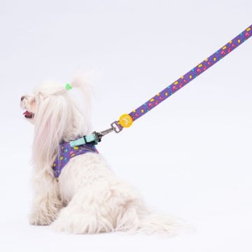 PawStar  Airmesh Ice Cream Göğüs Tasması