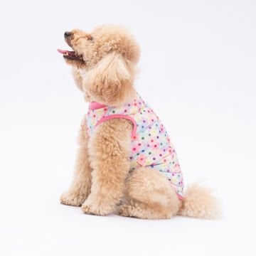 PawStar Spring Flowers T-Shirt Küçük Irk