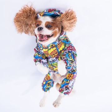 PawStar PopArt Tulum Yağmurluk Küçük ve Orta Irk