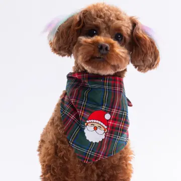 PawStar NYB Noel-Yılbaşı Bandana Seti 3 adet