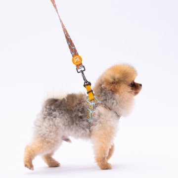 PawStar  Airmesh Pizza Göğüs Tasması