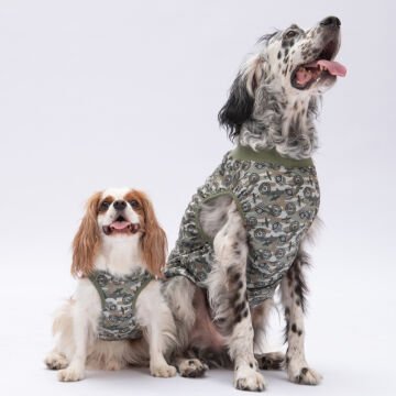 PawStar 25803 Air Army T-Shirt Küçük Irk