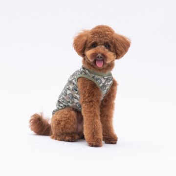 PawStar 25803 Air Army T-Shirt Küçük Irk
