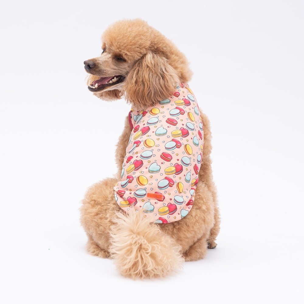 PawStar Macarons T-Shirt Küçük Irk