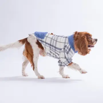 PawStar 25214-Krem Chicago Checks Ceket