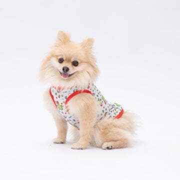 PawStar Cactus T-Shirt Küçük Irk