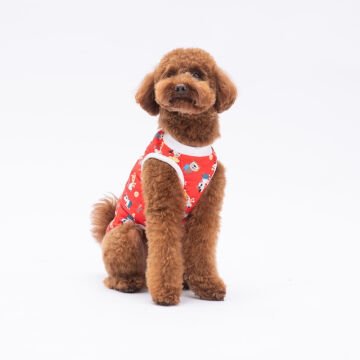 PawStar Holiday  T-Shirt Küçük Irk