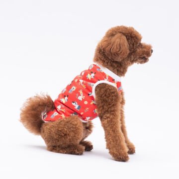 PawStar Holiday  T-Shirt Küçük Irk