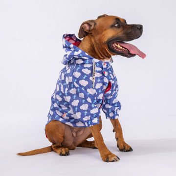 PawStar Tonitruum Büyük Irk Yağmurluk