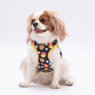 PawStar Star Hamburger  T-Shirt Küçük Irk